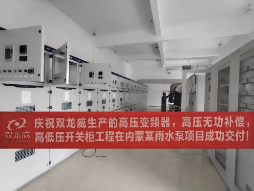 襄阳双龙威快速响应内蒙古某雨水泵站项目需求助推汛期高效排涝